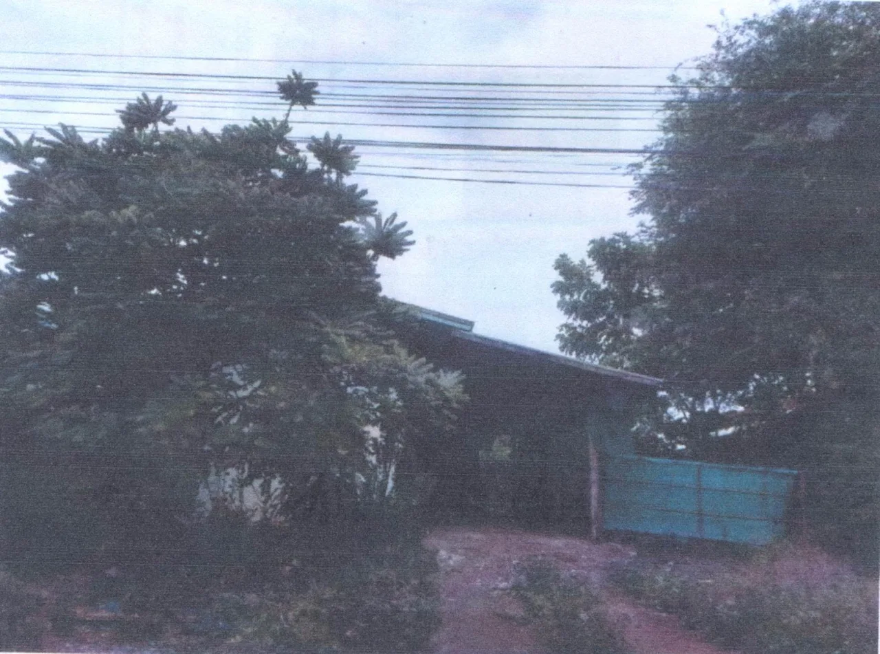 ขายทอดตลาด ที่ดินพร้อมสิ่งปลูกสร้าง ต.โคกสลุง อ.พัฒนานิคม จ.ลพบุรี