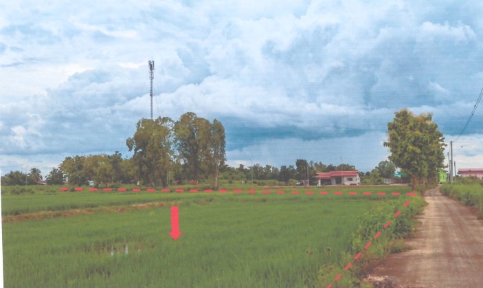 ขายทอดตลาด ที่ดินว่างเปล่า ต.หนองนาง อ.ท่าบ่อ จ.หนองคาย