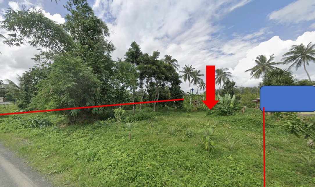 ขายทอดตลาด ที่ดินว่างเปล่า จ.ตรัง