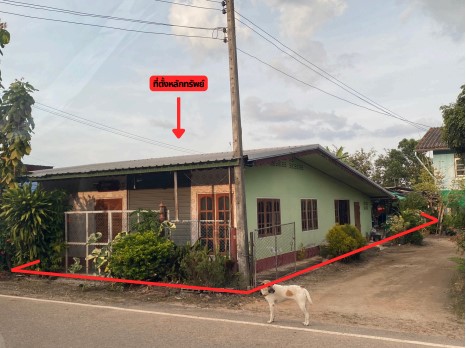 ขายทอดตลาด ที่ดินพร้อมสิ่งปลูกสร้าง ต.ป่างิ้ว อ.เวียงป่าเป้า จ.เชียงราย