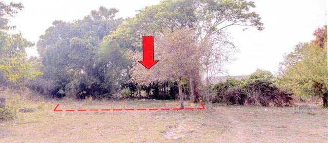 ขายทอดตลาด ที่ดินว่างเปล่า ต.มีชัย อ.เมืองหนองคาย จ.หนองคาย
