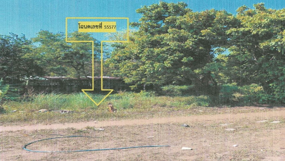 ขายทอดตลาด ที่ดินว่างเปล่า จ.ระยอง