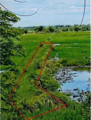 รูปทรัพย์ 1