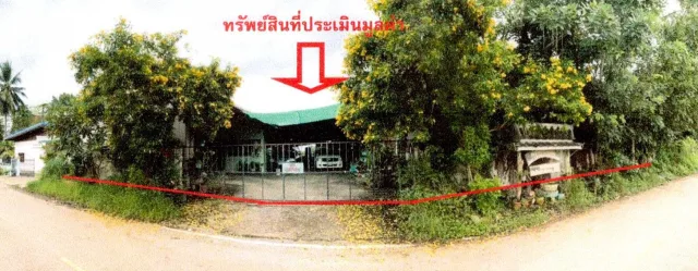 ขายทอดตลาด ที่ดินพร้อมสิ่งปลูกสร้าง ต.โคกคอน อ.ท่าบ่อ จ.หนองคาย