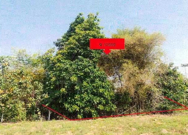 ขายทอดตลาด ที่ดินว่างเปล่า ต.หนองปลาปาก อ.ศรีเชียงใหม่ จ.หนองคาย