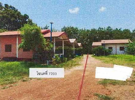 ขายทอดตลาด ที่ดินพร้อมสิ่งปลูกสร้าง ต.รัตนวาปี อ.รัตนวาปี จ.หนองคาย