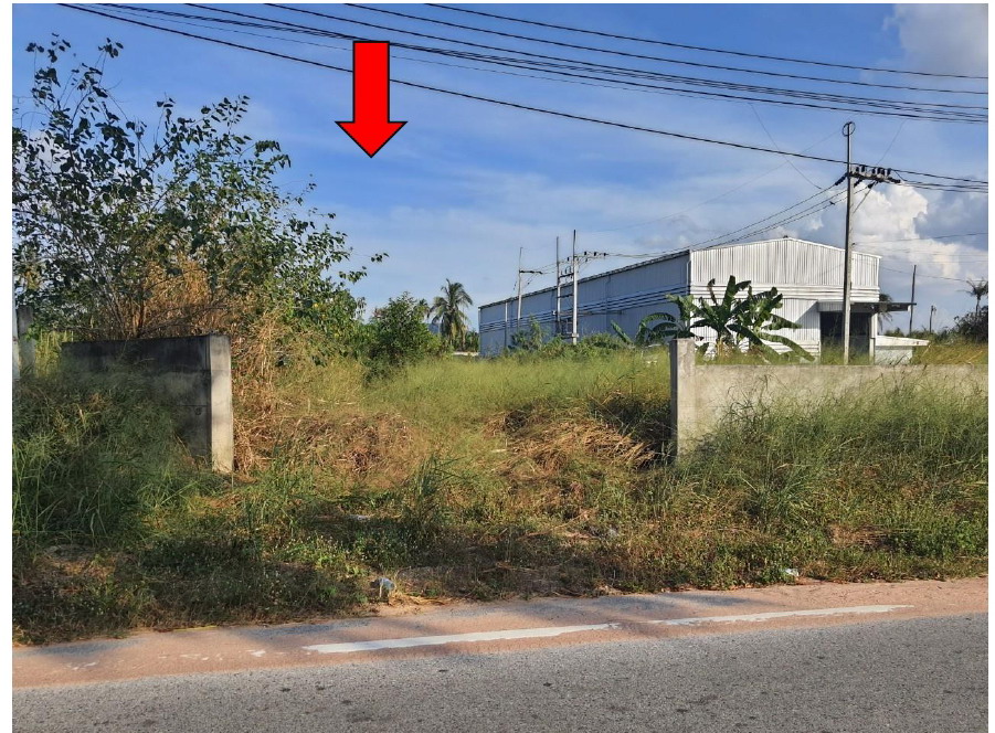 ขายทอดตลาด ที่ดินว่างเปล่า ต.เขาคันทรง อ.ศรีราชา จ.ชลบุรี