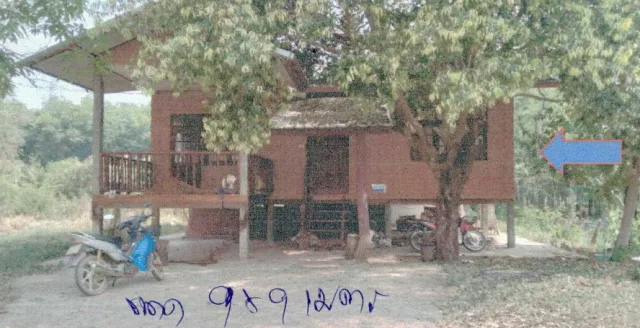 ขายทอดตลาด ที่ดินพร้อมสิ่งปลูกสร้าง ต.นาทับไฮ อ.รัตนวาปี จ.หนองคาย
