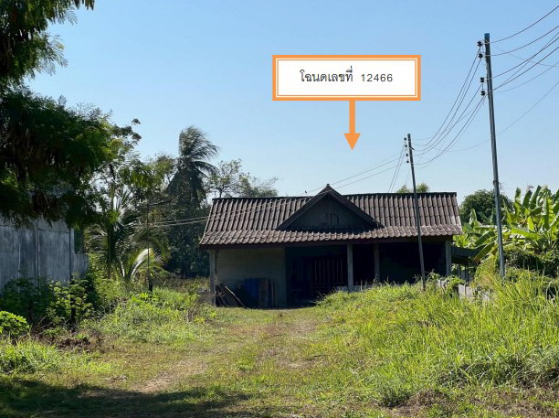 ขายทอดตลาด ที่ดินพร้อมสิ่งปลูกสร้าง ต.พานพร้าว อ.ศรีเชียงใหม่ จ.หนองคาย
