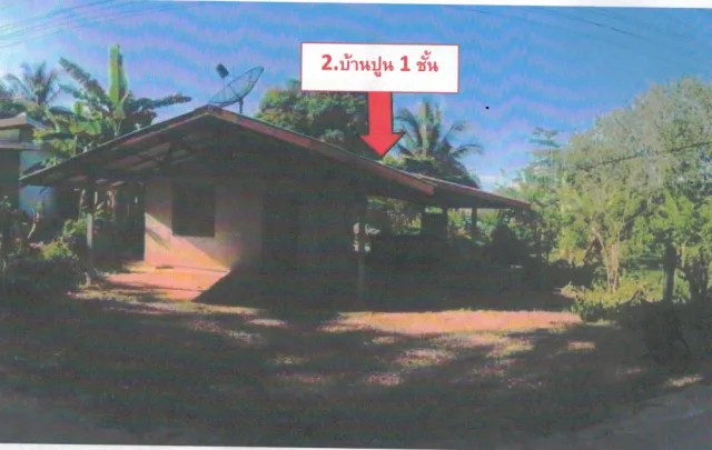 ขายทอดตลาด ที่ดินพร้อมสิ่งปลูกสร้าง ต.บ้านต้อน อ.รัตนวาปี จ.หนองคาย