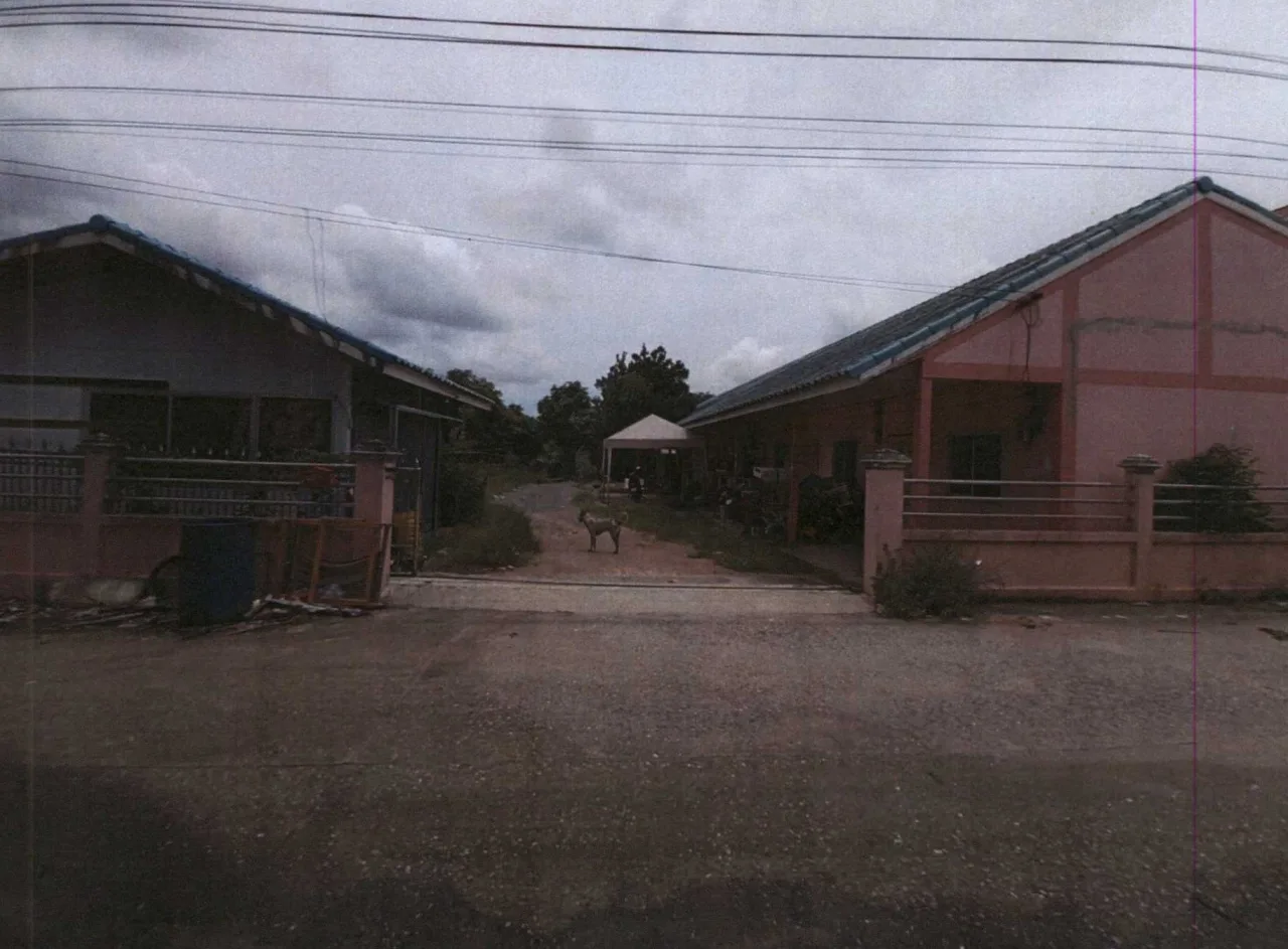 ขายทอดตลาด ที่ดินพร้อมสิ่งปลูกสร้าง ต.เขาคันทรง อ.ศรีราชา จ.ชลบุรี