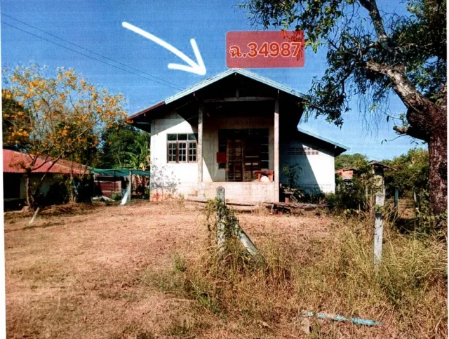 ขายทอดตลาด ที่ดินพร้อมสิ่งปลูกสร้าง ต.วัดหลวง อ.โพนพิสัย จ.หนองคาย