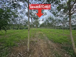 รูปทรัพย์ 2
