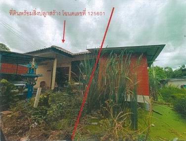 ขายทอดตลาด ที่ดินพร้อมสิ่งปลูกสร้าง แขวงสามวาตะวันออก เขตคลองสามวา จ.กรุงเทพมหานคร