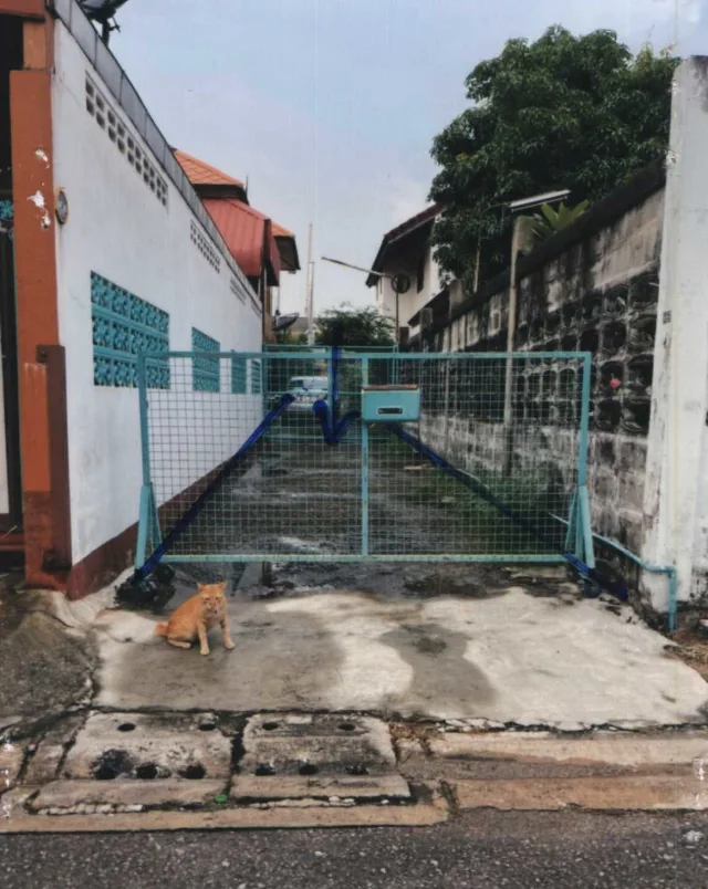 ขายทอดตลาด ที่ดินว่างเปล่า แขวงจรเข้บัว(ออเป้า) เขตบางกะปิ จ.กรุงเทพมหานคร