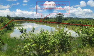 รูปทรัพย์ 1