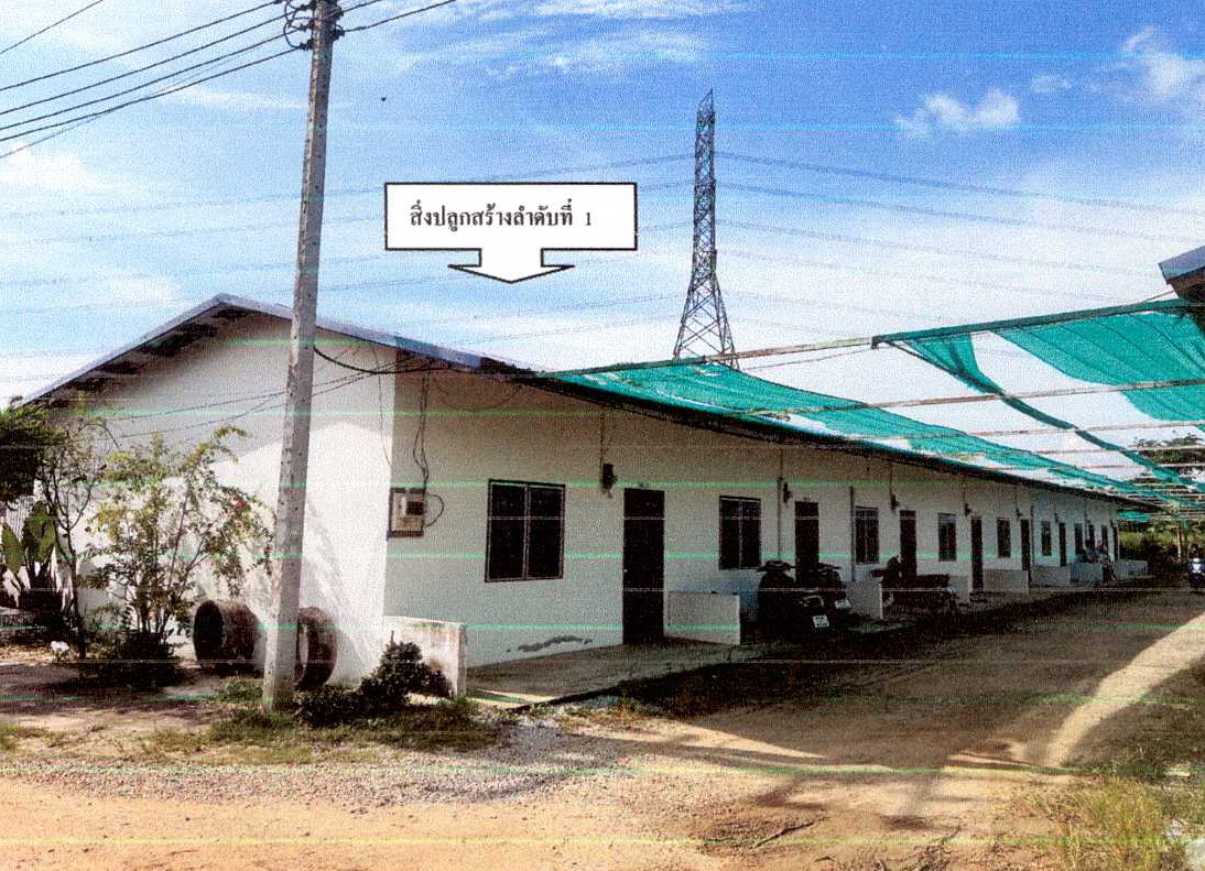 ขายทอดตลาด ที่ดินพร้อมสิ่งปลูกสร้าง ต.หนองอิรุณ อ.บ้านบึง จ.ชลบุรี
