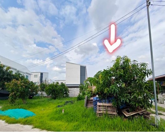 ขายทอดตลาด ที่ดินว่างเปล่า แขวงสามวาตะวันตก เขตคลองสามวา จ.กรุงเทพมหานคร