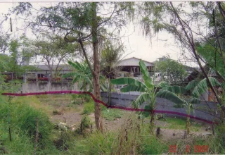 รูปทรัพย์ 2