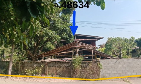 ขายทอดตลาด ที่ดินพร้อมสิ่งปลูกสร้าง ต.ทรายขาว อ.พาน จ.เชียงราย