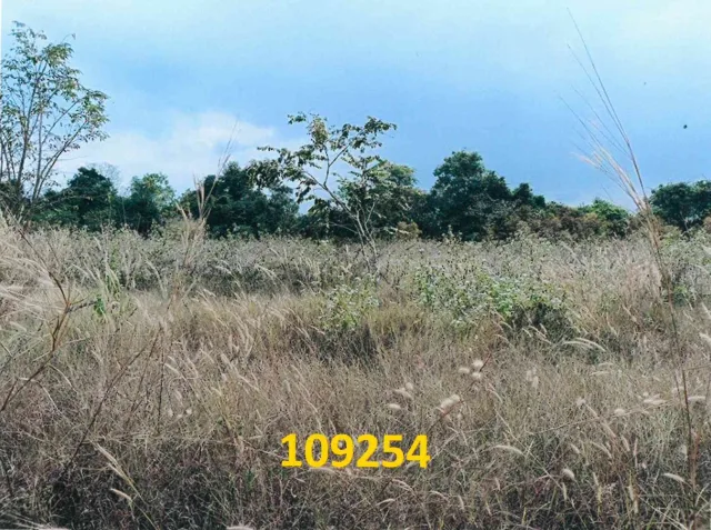 ขายทอดตลาด ที่ดินว่างเปล่า ต.โป่ง อ.บางละมุง จ.ชลบุรี