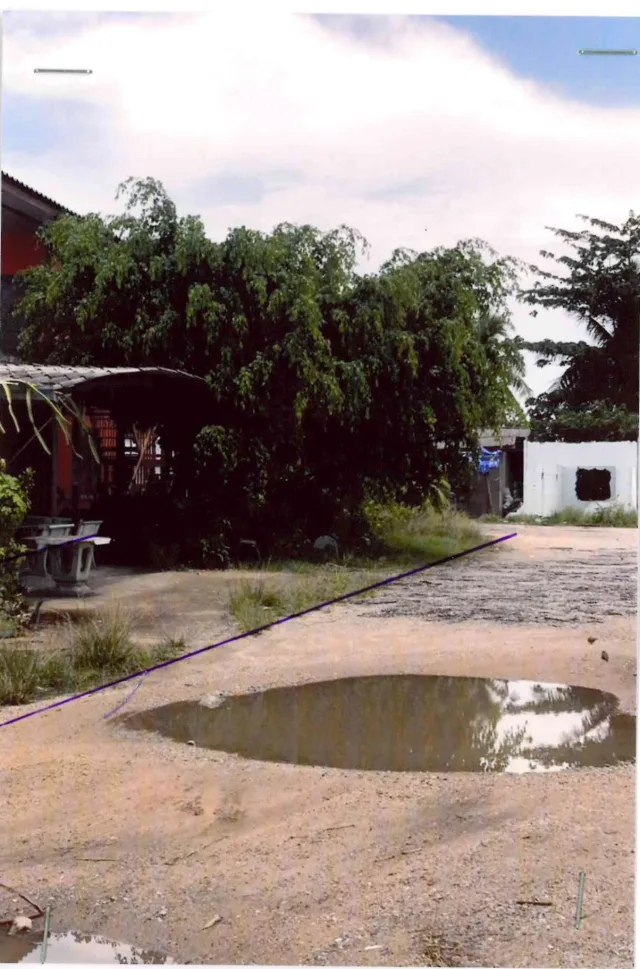 ขายทอดตลาด ที่ดินว่างเปล่า ต.ตะเคียนเตี้ย อ.บางละมุง จ.ชลบุรี