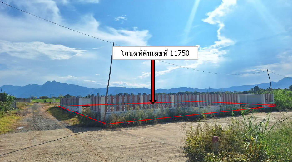 ขายทอดตลาด ที่ดินว่างเปล่า จ.เชียงราย