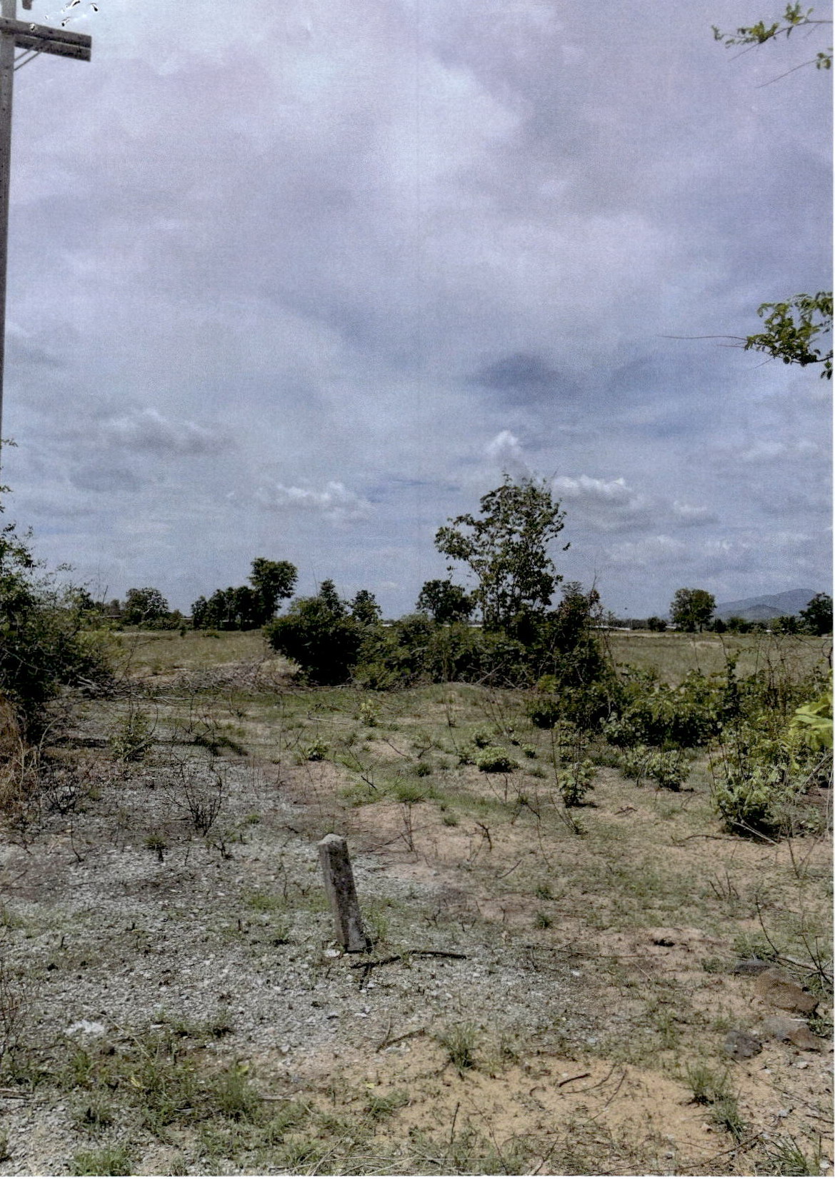 ขายทอดตลาด ที่ดินว่างเปล่า ต.คลองเกตุ อ.โคกสำโรง จ.ลพบุรี
