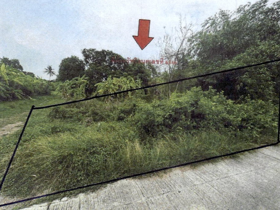 ขายทอดตลาด ที่ดินว่างเปล่า ต.บางงา อ.ท่าวุ้ง จ.ลพบุรี