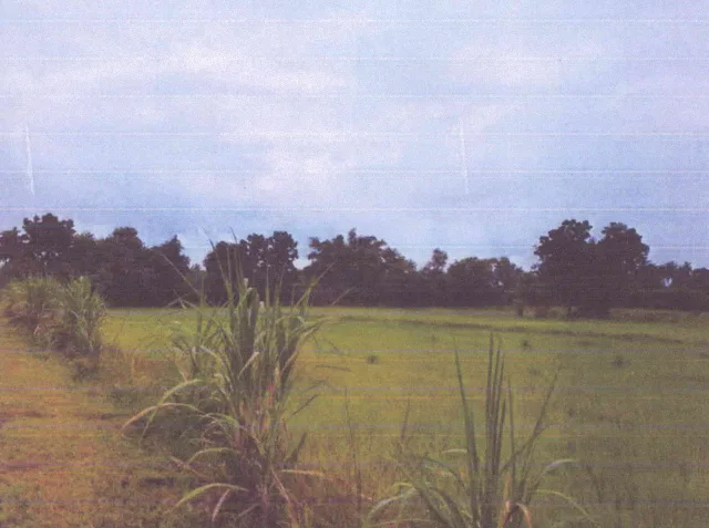 ขายทอดตลาด ที่ดินว่างเปล่า ต.โคกสลุง อ.พัฒนานิคม จ.ลพบุรี