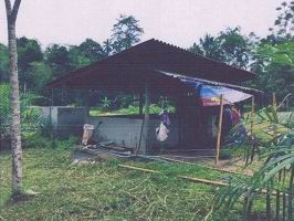 ขายทอดตลาด ที่ดินพร้อมสิ่งปลูกสร้าง ต.ปากแจ่ม อ.ห้วยยอด จ.ตรัง