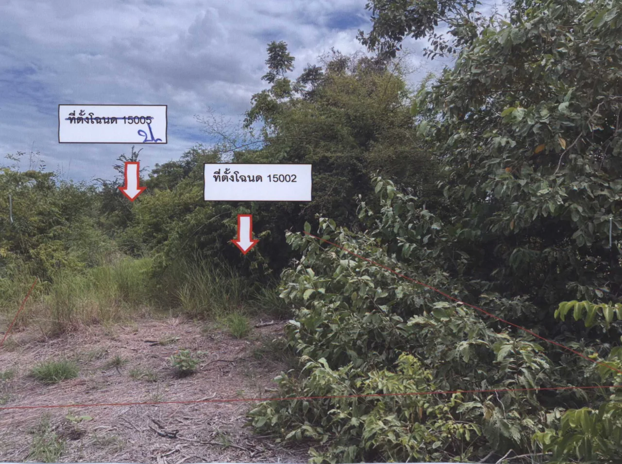 ขายทอดตลาด ที่ดินว่างเปล่า ต.วังขอนขว้าง อ.โคกสำโรง จ.ลพบุรี