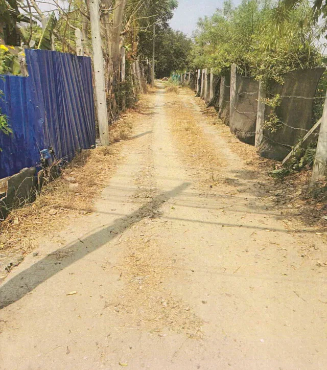 ขายทอดตลาด ที่ดินว่างเปล่า ต.ห้วยโป่ง อ.โคกสำโรง จ.ลพบุรี