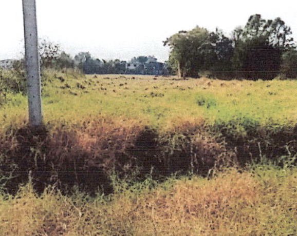 ขายทอดตลาด ที่ดินว่างเปล่า ต.โคกสำโรง อ.โคกสำโรง จ.ลพบุรี