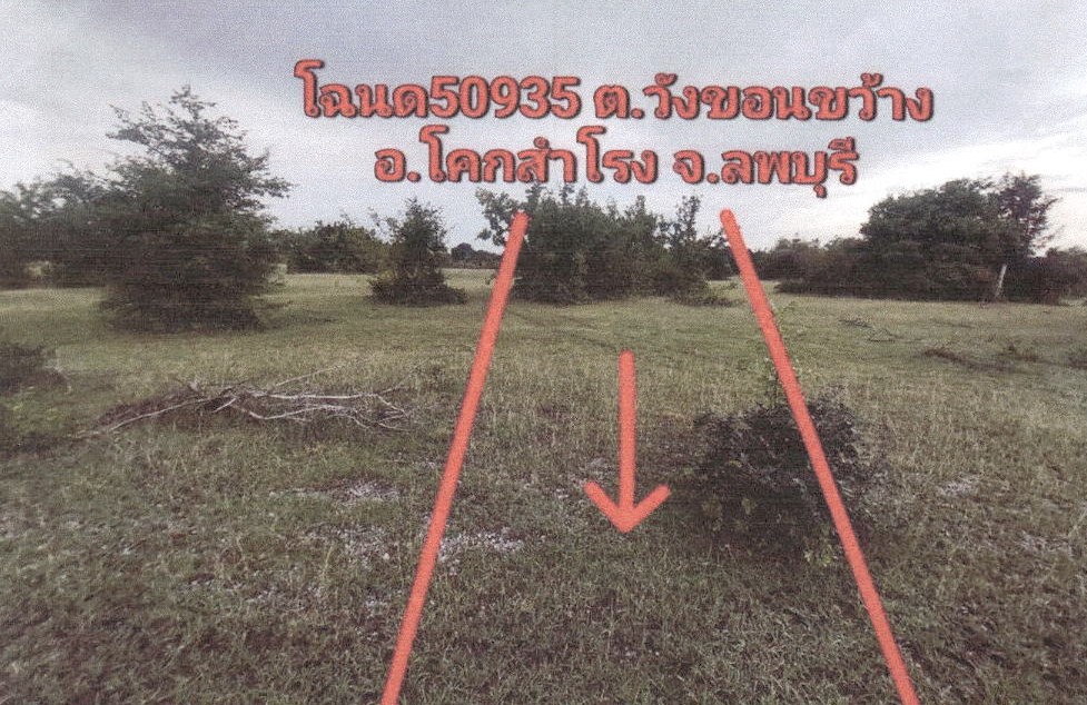 ขายทอดตลาด ที่ดินว่างเปล่า ต.วังขอนขว้าง อ.โคกสำโรง จ.ลพบุรี