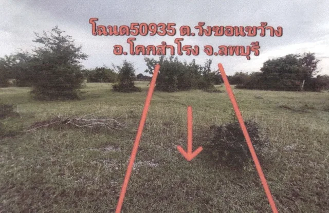 ขายทอดตลาด ที่ดินว่างเปล่า ต.วังขอนขว้าง อ.โคกสำโรง จ.ลพบุรี