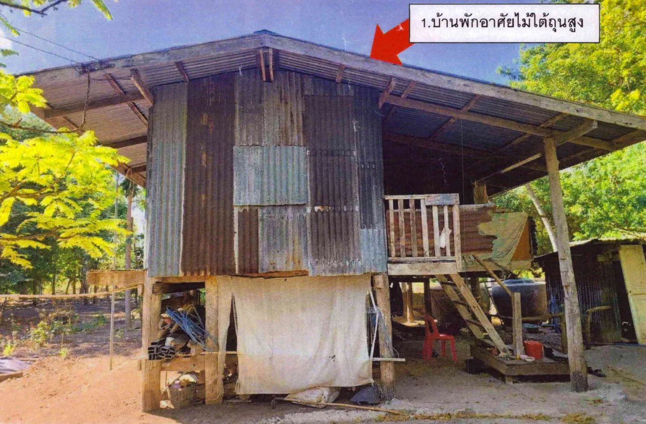 ขายทอดตลาด ที่ดินพร้อมสิ่งปลูกสร้าง ต.บ่อทอง อ.หนองม่วง จ.ลพบุรี