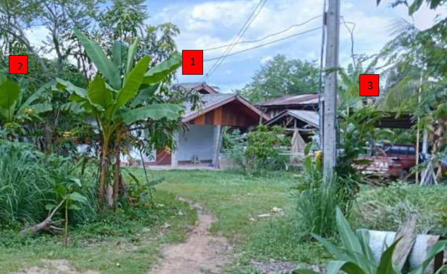 ขายทอดตลาด ที่ดินพร้อมสิ่งปลูกสร้าง ต.แม่สรวย อ.แม่สรวย จ.เชียงราย