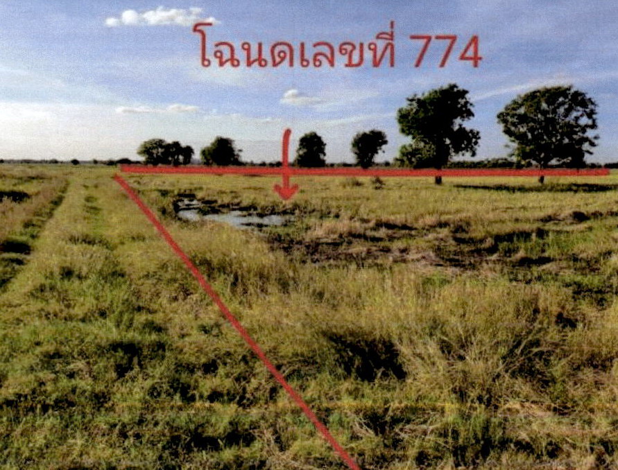 ขายทอดตลาด ที่ดินว่างเปล่า ต.หลุมข้าว อ.โคกสำโรง จ.ลพบุรี