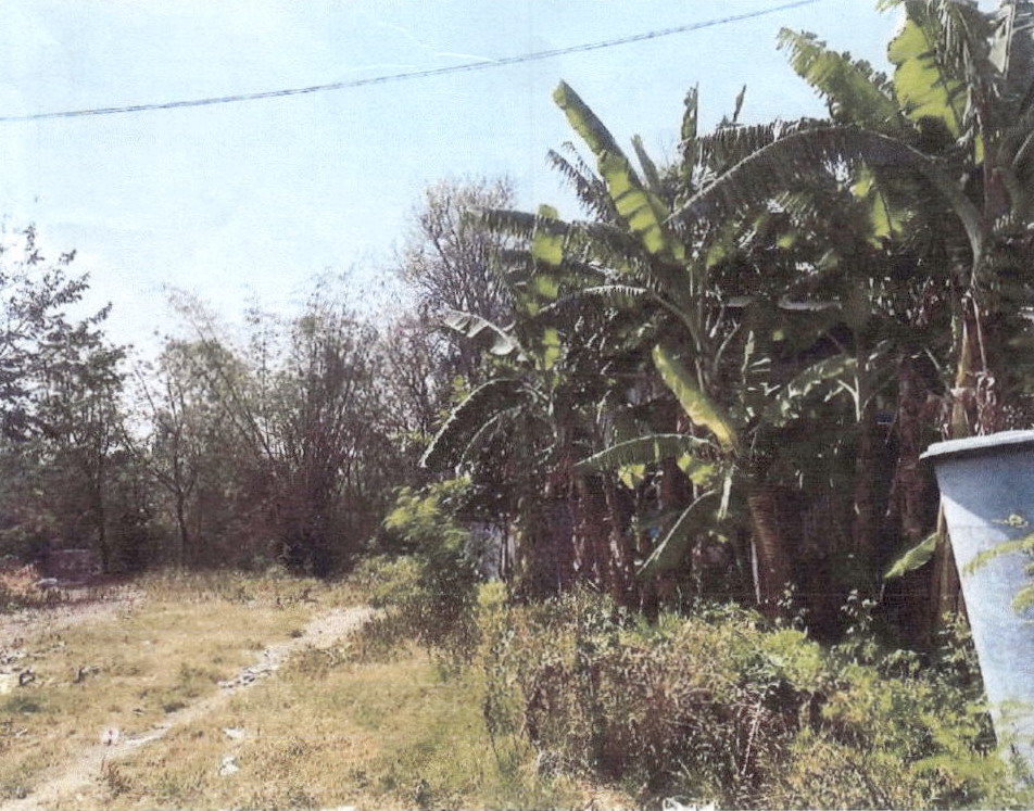 ขายทอดตลาด ที่ดินพร้อมสิ่งปลูกสร้าง ต.เกาะแก้ว อ.โคกสำโรง จ.ลพบุรี