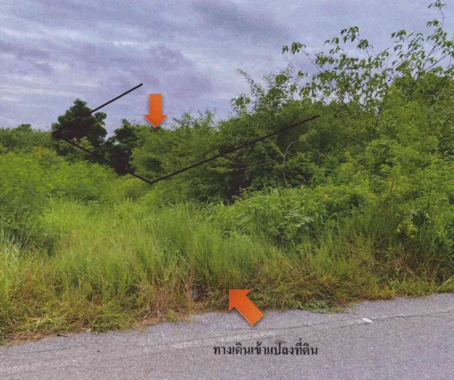 ขายทอดตลาด ที่ดินว่างเปล่า ต.โคกตูม อ.เมืองลพบุรี จ.ลพบุรี