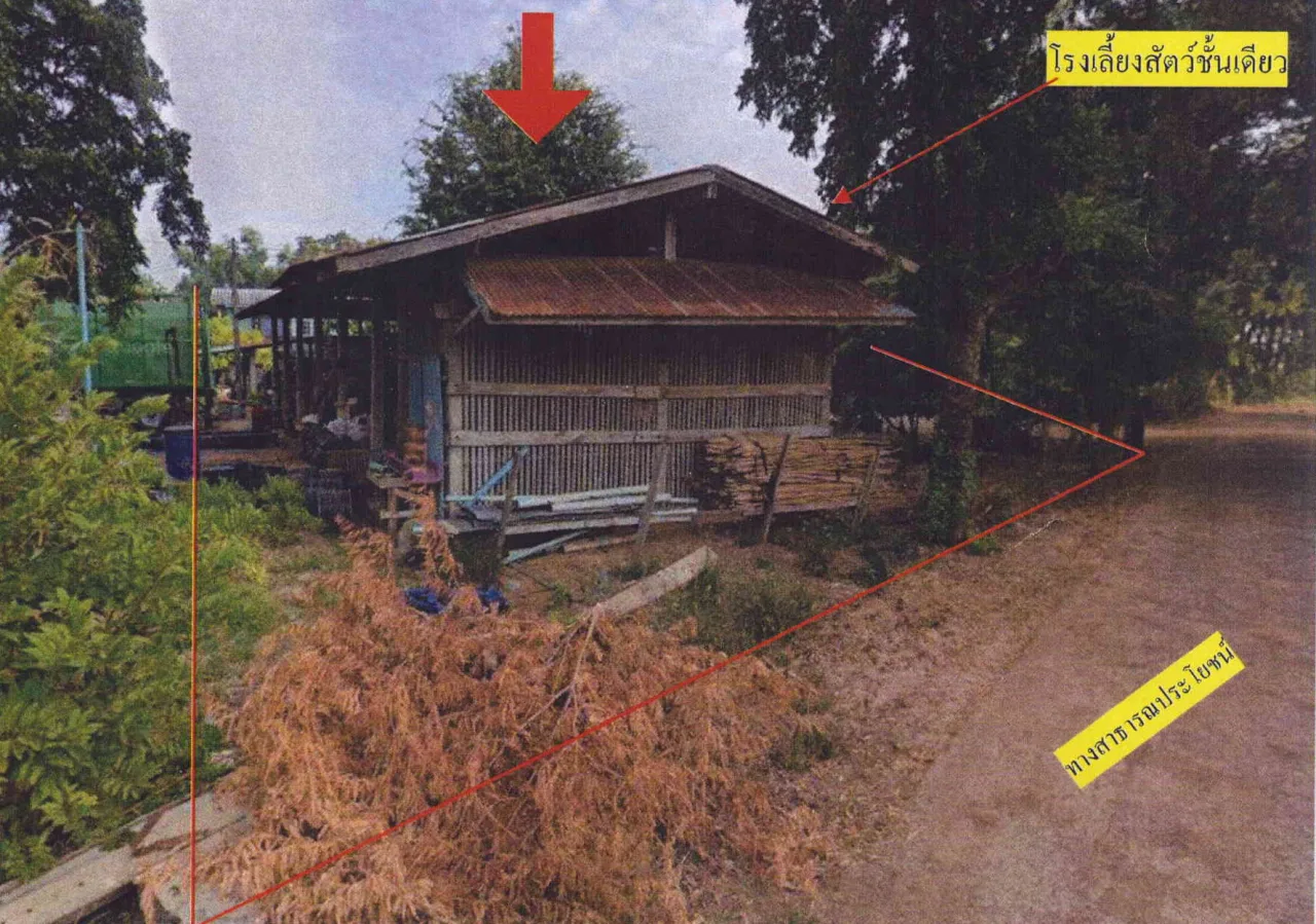 ขายทอดตลาด ที่ดินพร้อมสิ่งปลูกสร้าง ต.ยางโทน อ.หนองม่วง จ.ลพบุรี
