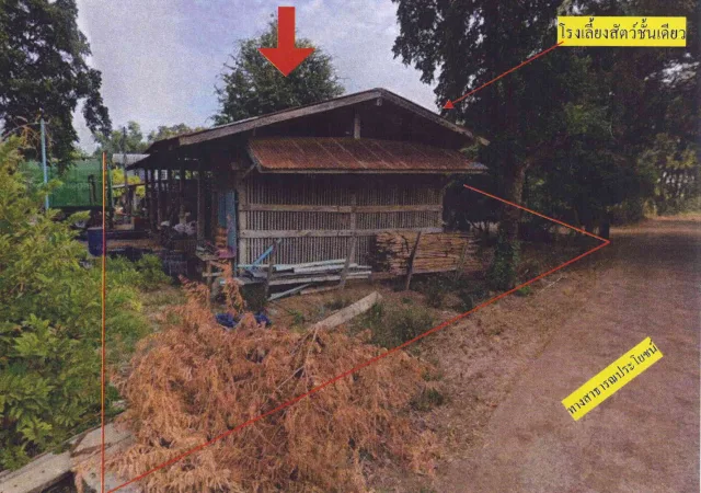 ขายทอดตลาด ที่ดินพร้อมสิ่งปลูกสร้าง ต.ยางโทน อ.หนองม่วง จ.ลพบุรี