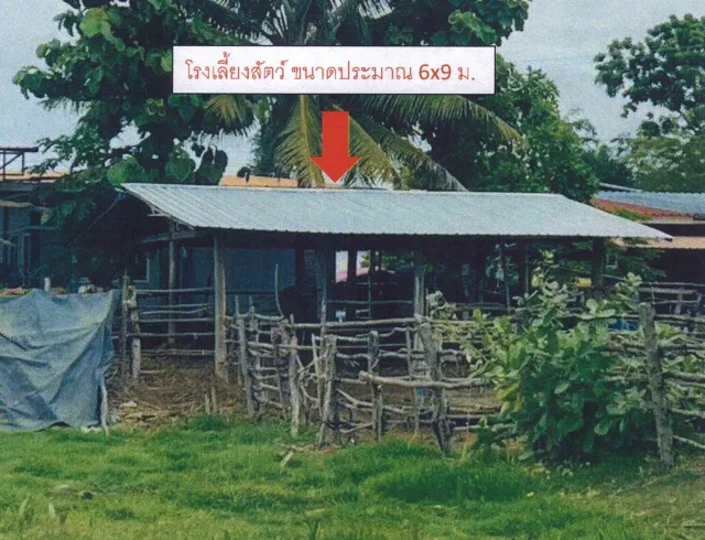 ขายทอดตลาด ที่ดินพร้อมสิ่งปลูกสร้าง ต.ชอนสมบูรณ์ อ.หนองม่วง จ.ลพบุรี