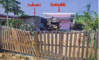 รูปทรัพย์ 2