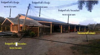 รูปทรัพย์ 1