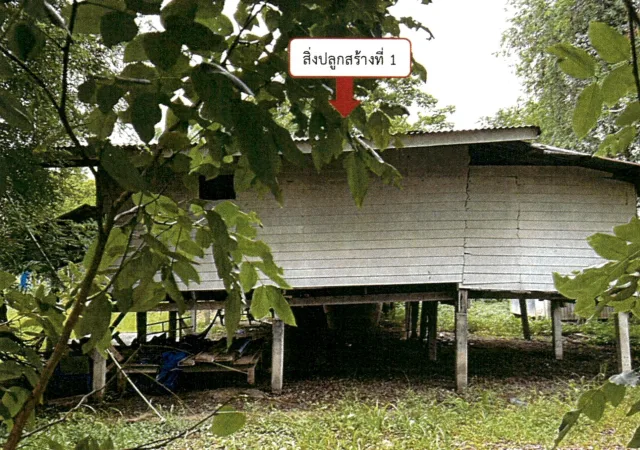 ขายทอดตลาด ที่ดินพร้อมสิ่งปลูกสร้าง ต.หนองกระเบียน อ.บ้านหมี่ จ.ลพบุรี