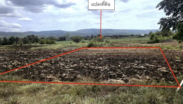 ขายทอดตลาด ที่ดินว่างเปล่า ต.วังเพลิง อ.โคกสำโรง จ.ลพบุรี