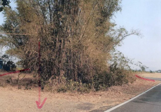 ขายทอดตลาด ที่ดินพร้อมสิ่งปลูกสร้าง ต.ดีลัง อ.พัฒนานิคม จ.ลพบุรี