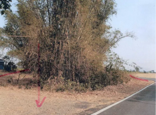 ขายทอดตลาด ที่ดินว่างเปล่า ต.สะแกราบ อ.โคกสำโรง จ.ลพบุรี